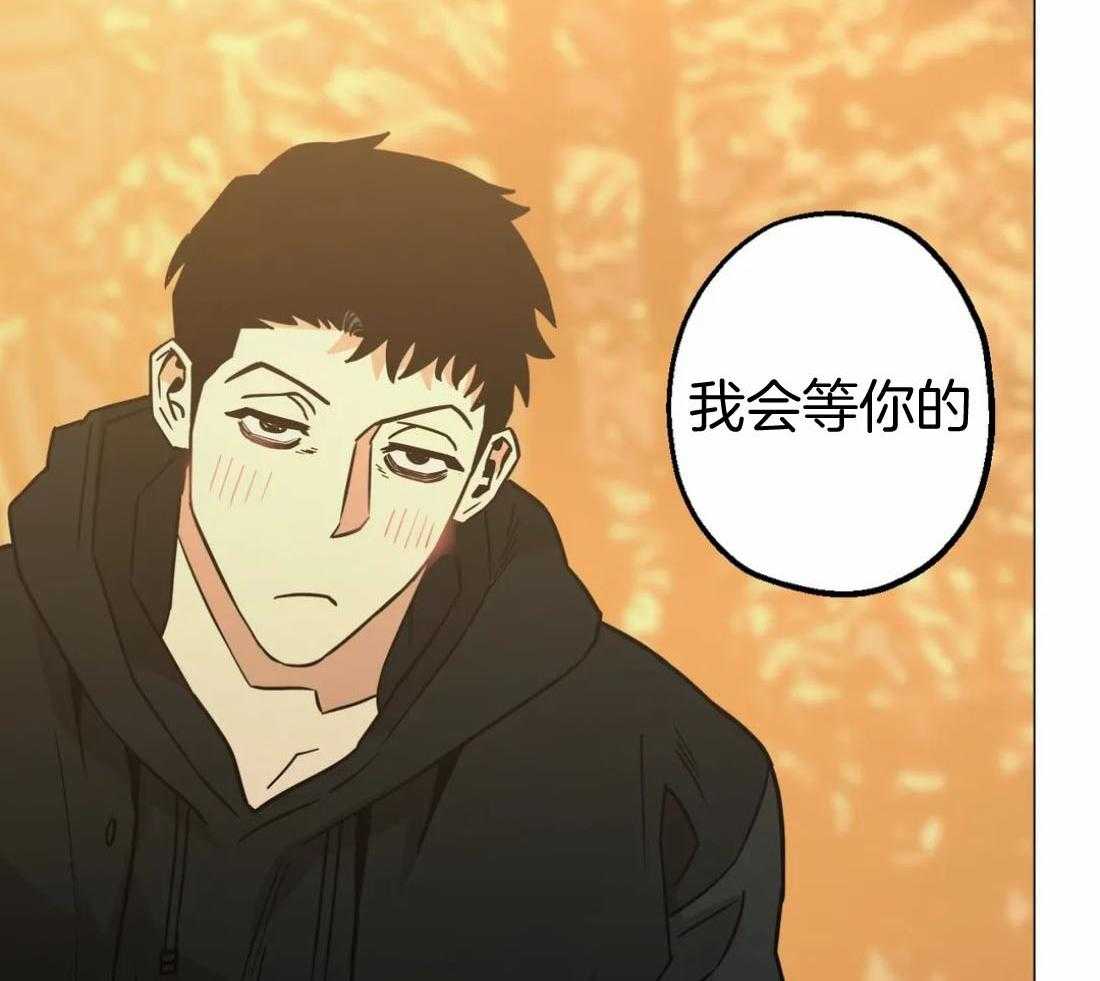 当杀手痴迷追星第68话图