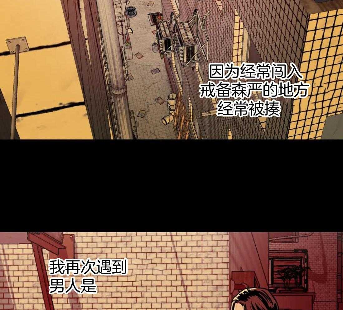 当杀手痴迷追星第70话图