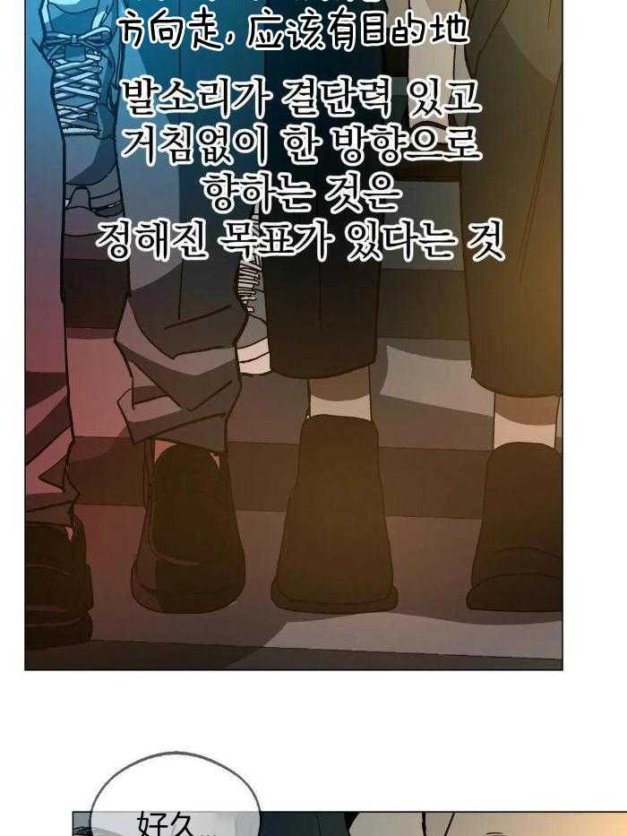 当杀手痴迷追星第80话图