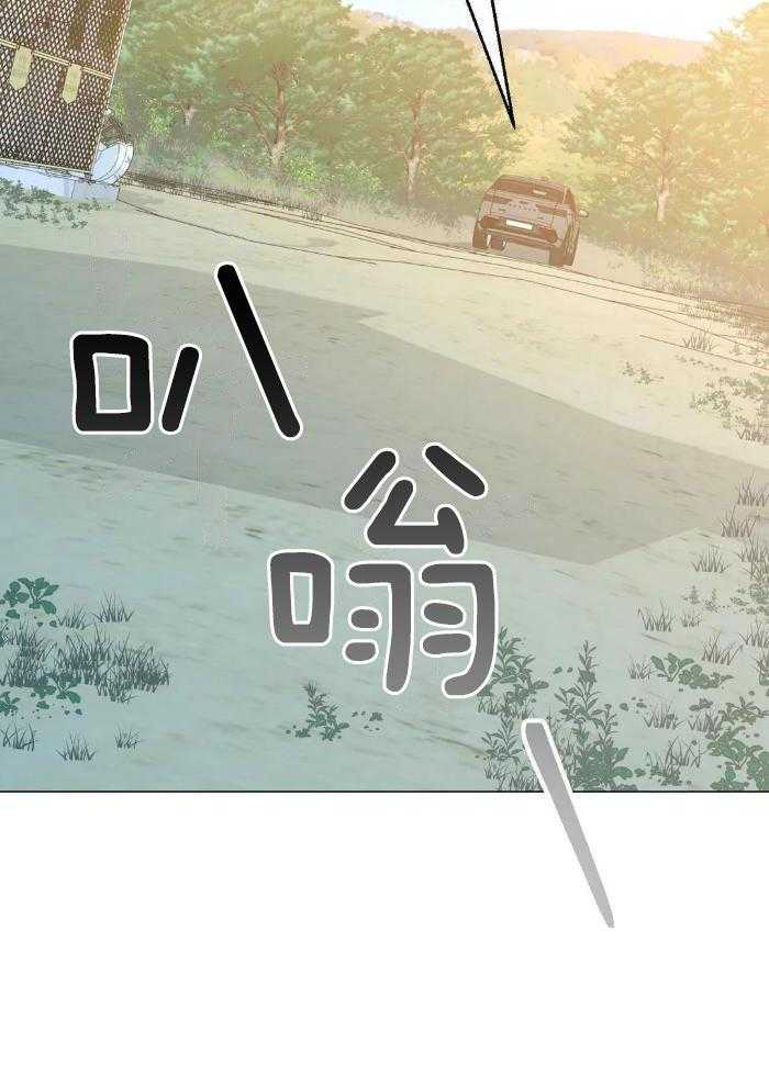 当杀手痴迷追星第85话图