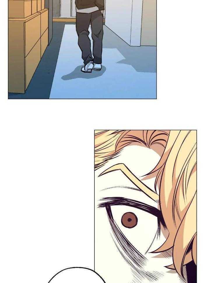 当杀手痴迷追星第88话图