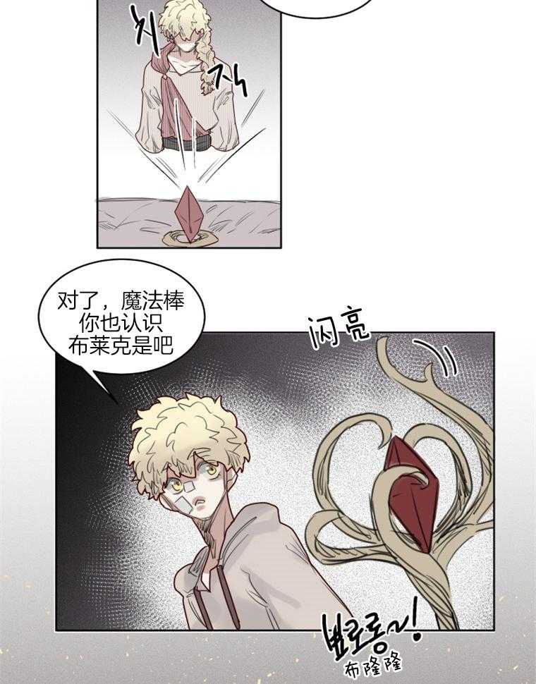 大魔王布莱克（含番外） 第41话 第13页