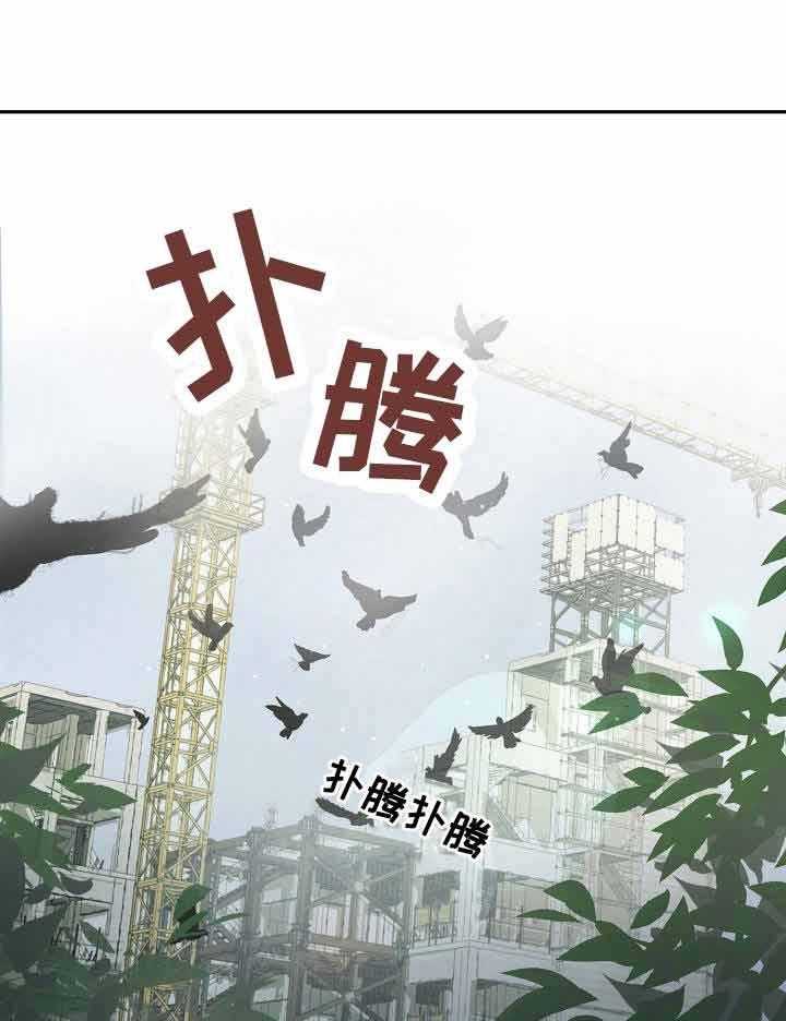 M的绯闻第3话图