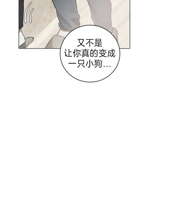 达成协议第63话图