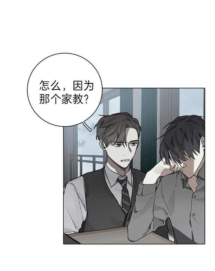 达成协议第79话图