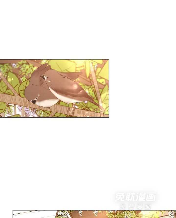 第二道菜第166话图