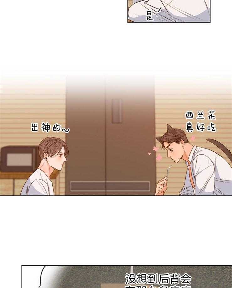 第二道菜第80话图