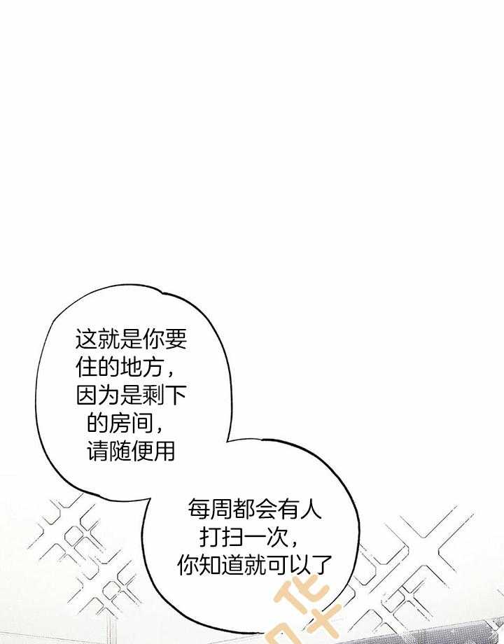 当霸总变成粘人哭包第50话图