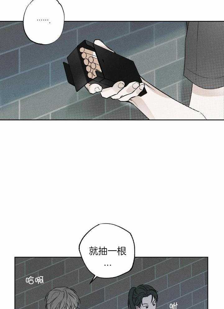 当霸总变成粘人哭包第77话图