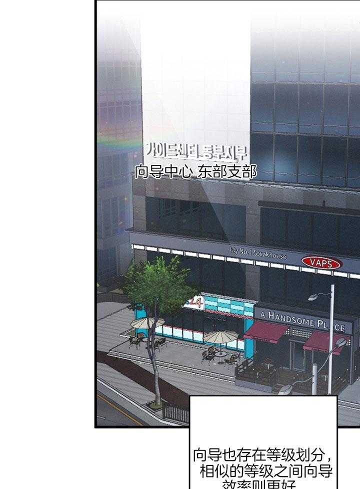 顶级哨兵在线追妻第2话图