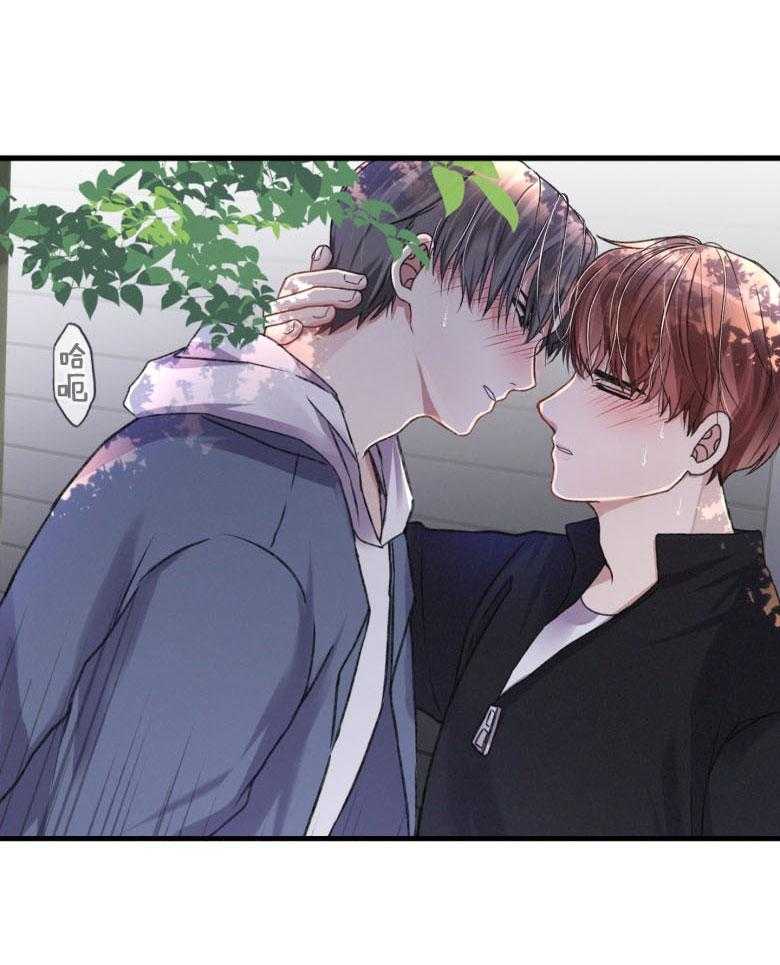 顶级哨兵在线追妻第23话图