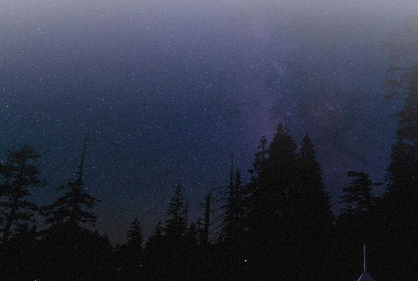 顶级哨兵在线追妻第36话图