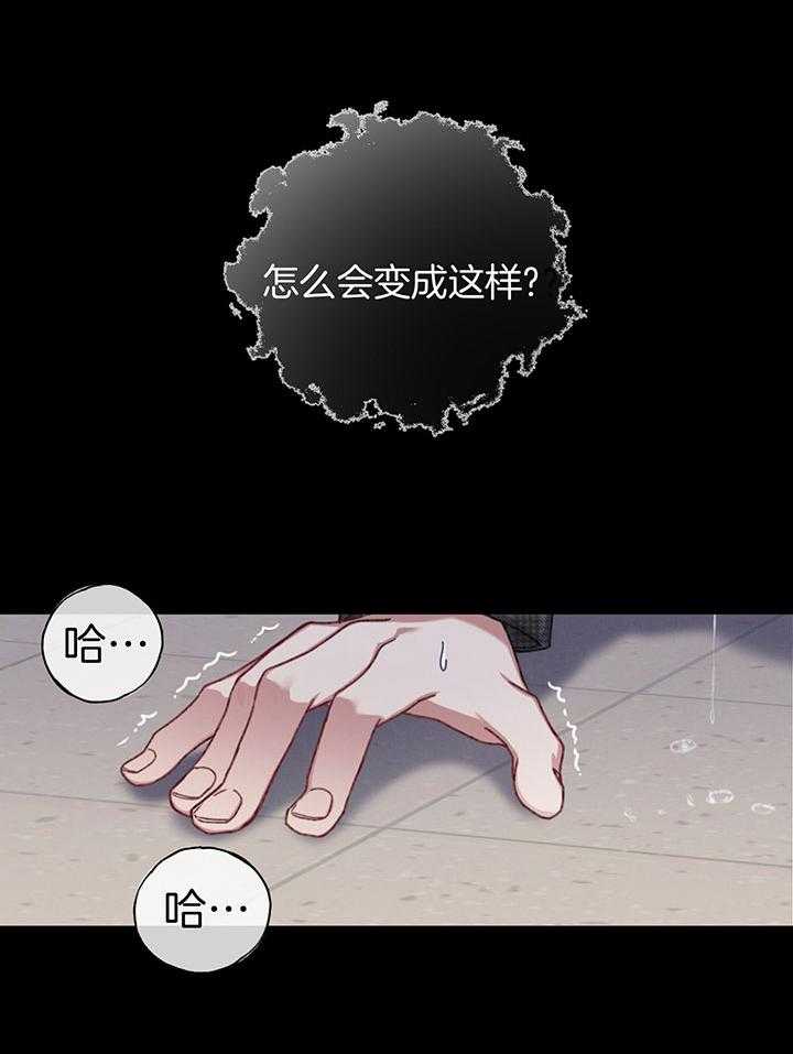 顶级哨兵在线追妻第40话图