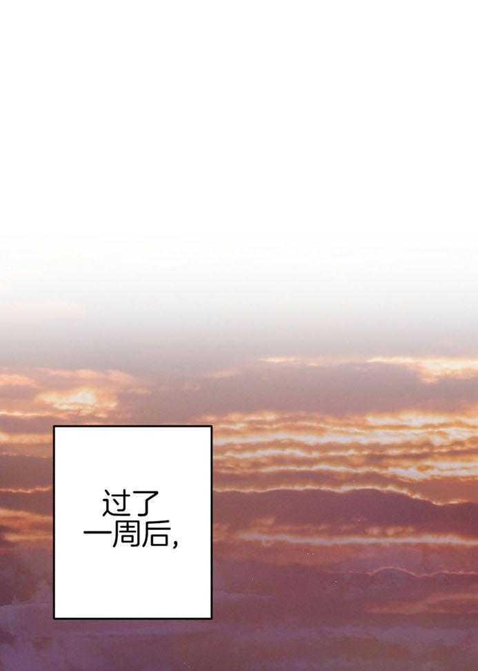 顶级哨兵在线追妻第45话图