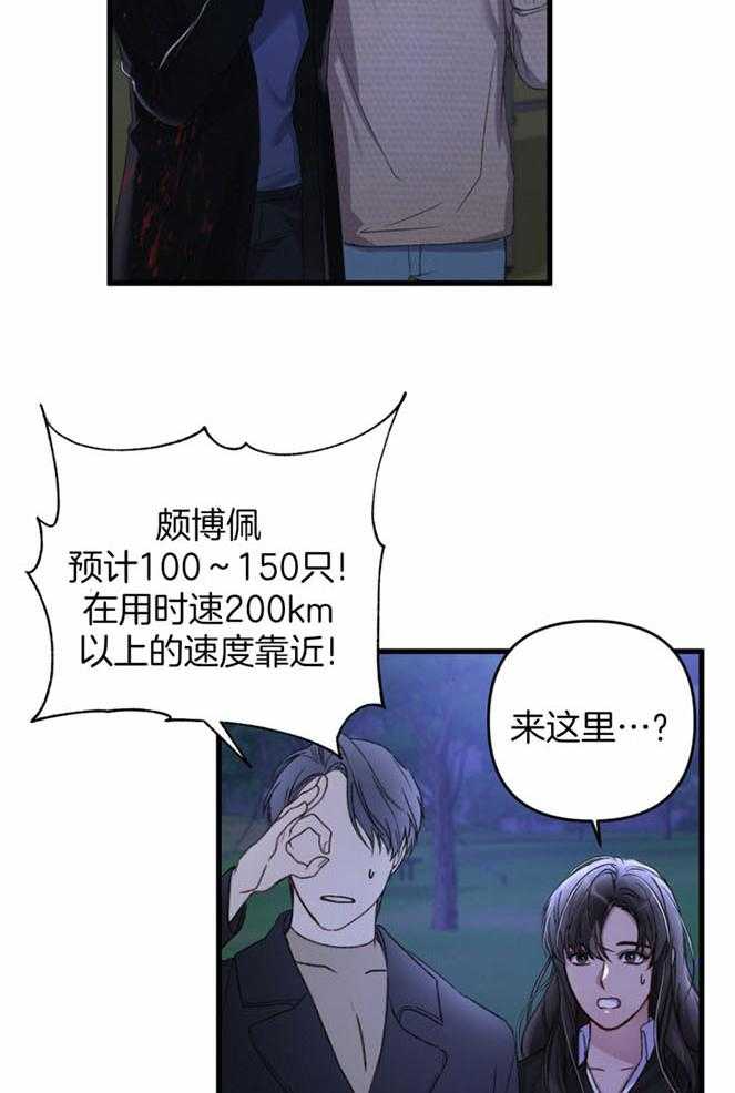 顶级哨兵在线追妻漫画-图18