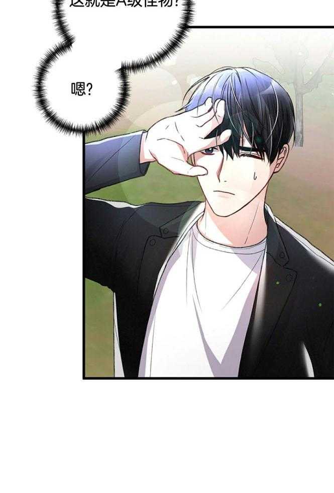 顶级哨兵在线追妻第60话图