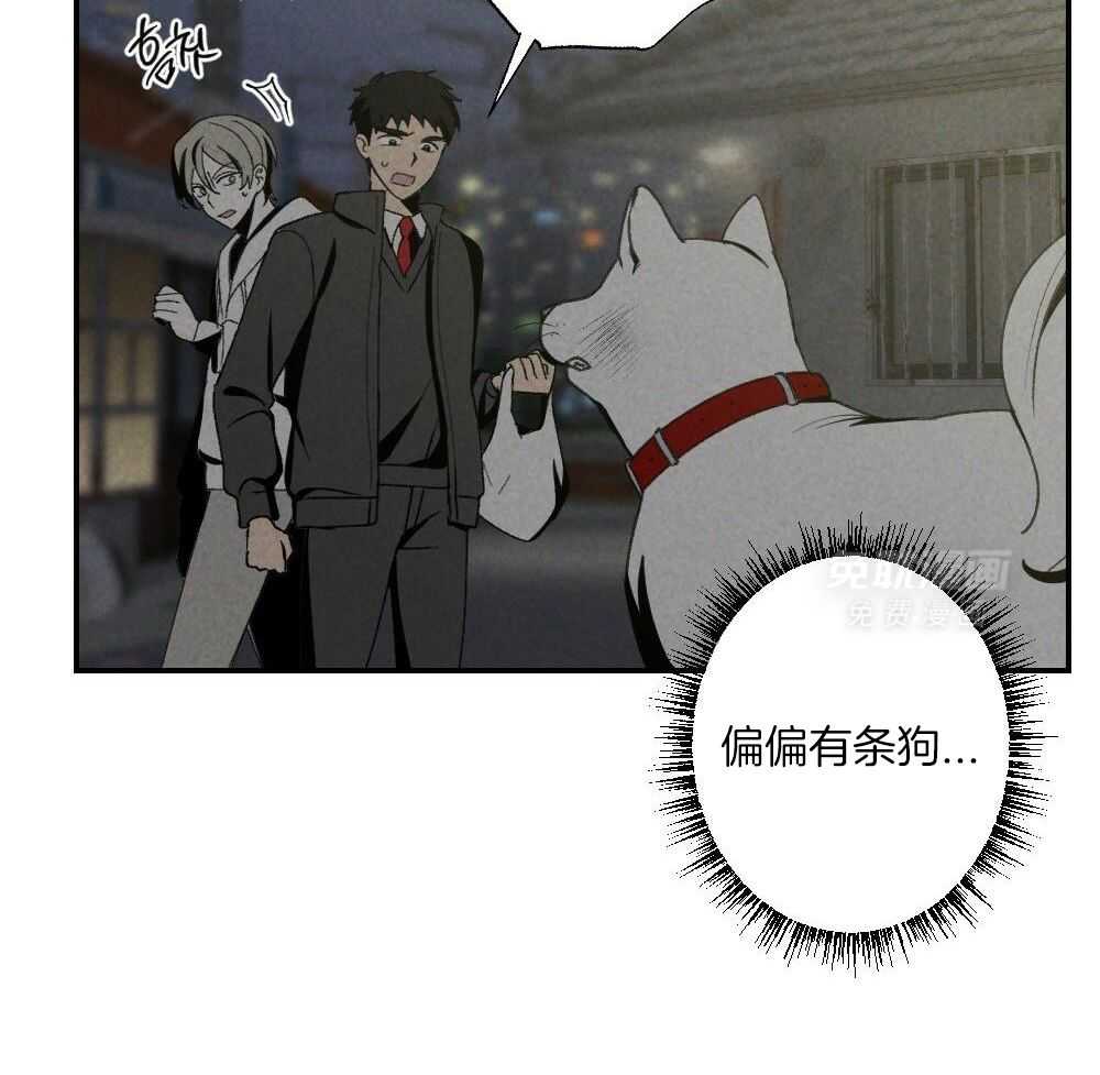 弟弟总想以下犯上第117话图
