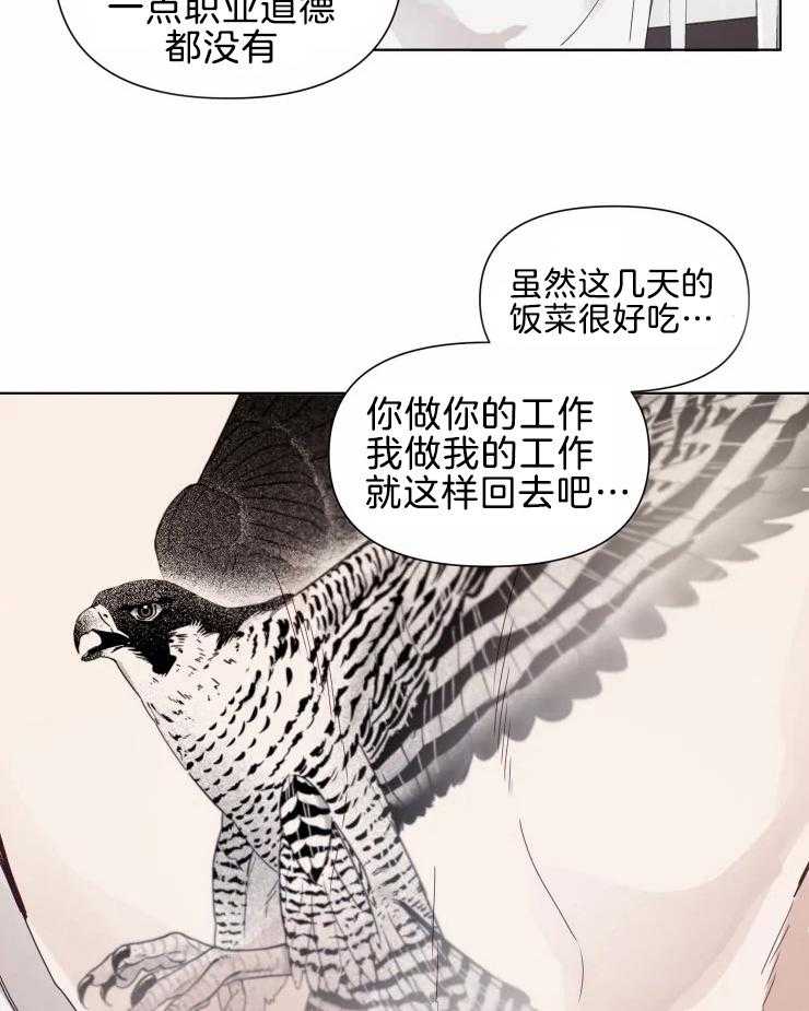 大佬的育儿内情第11话图