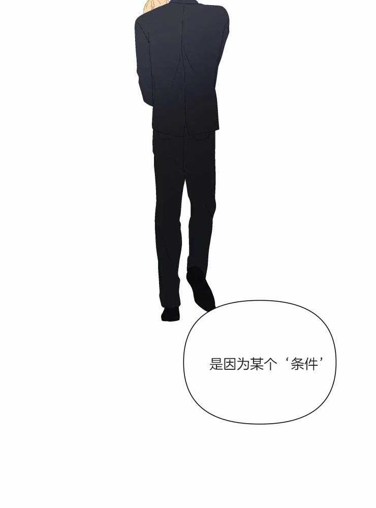 大佬的育儿内情第39话图
