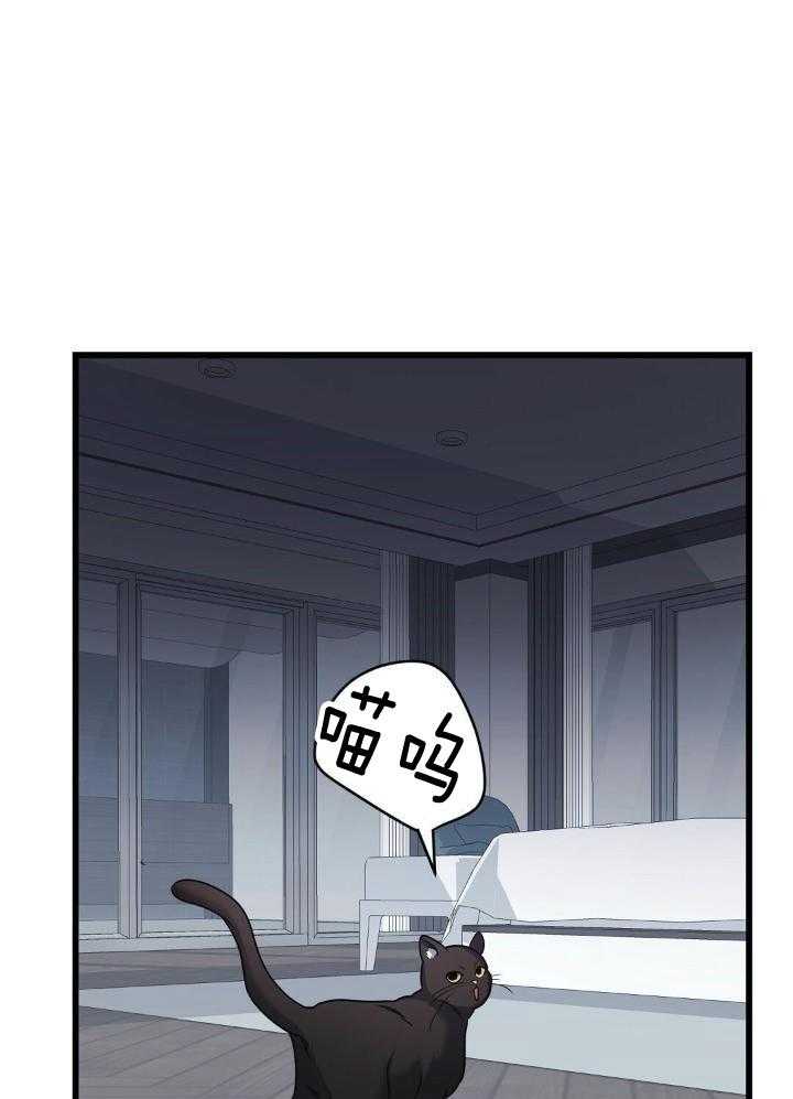 大佬的作死追妻路第32话图