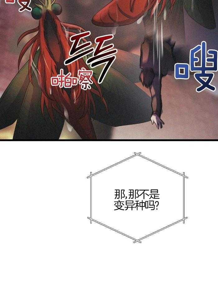 大佬的作死追妻路第52话图