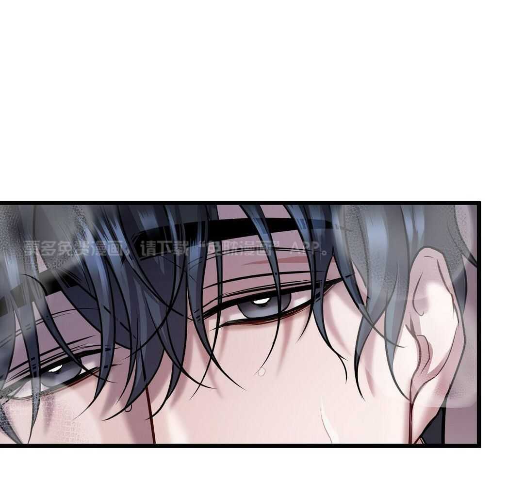 大佬的作死追妻路第69话图