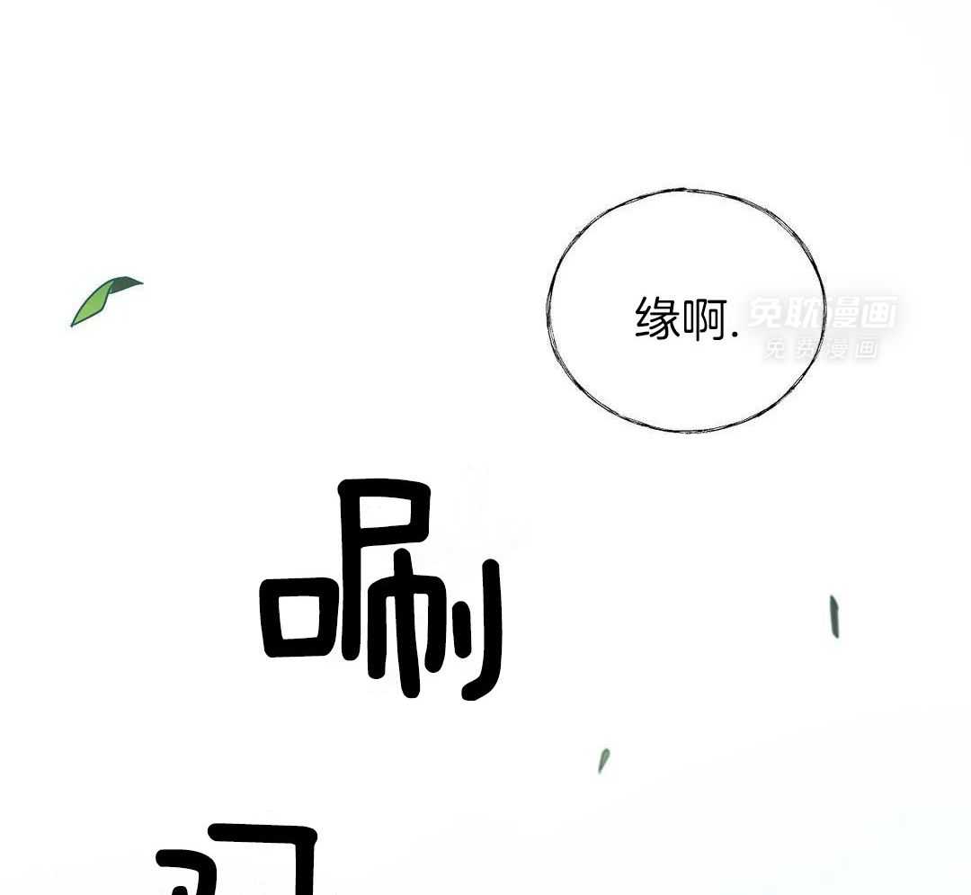豆蔻佳人（共2季）第22话图