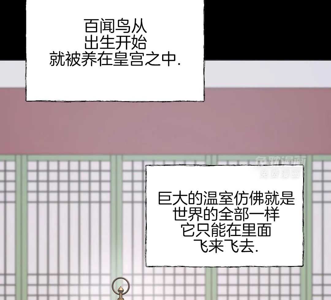 豆蔻佳人（共2季）第92话图