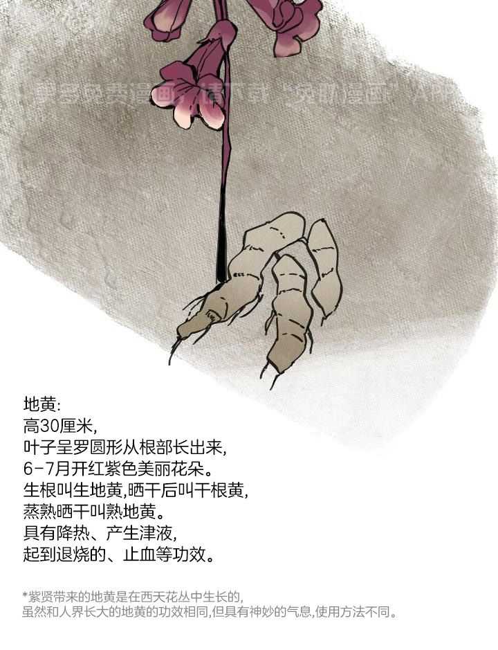 大胆徒弟，放下为师！第114话图