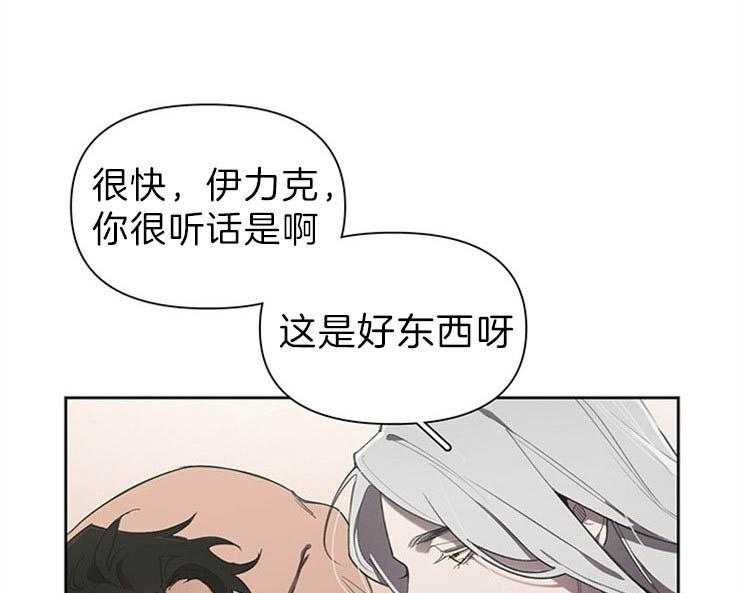 大公阁下第26话图