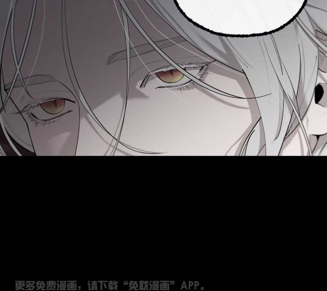 大公阁下第91话图