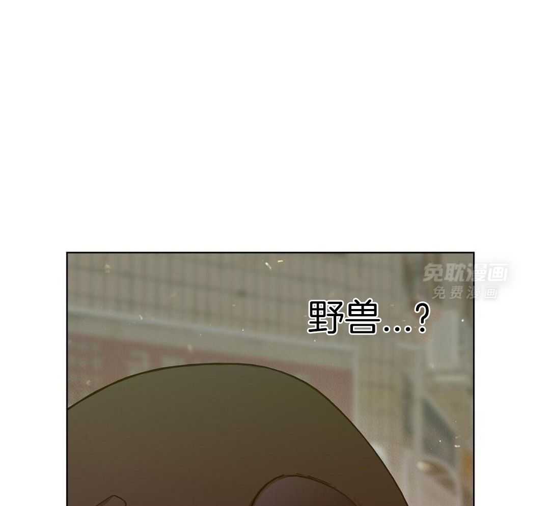 大佬情夫黏上我第67话图