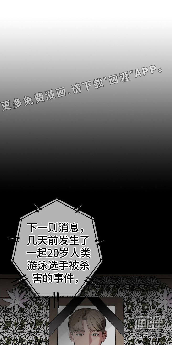 大鲨鱼第10话图