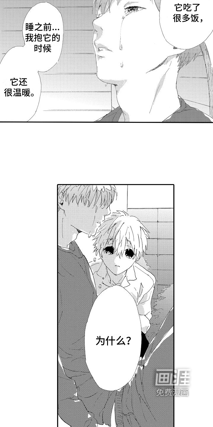 单纯的三浦第5话图