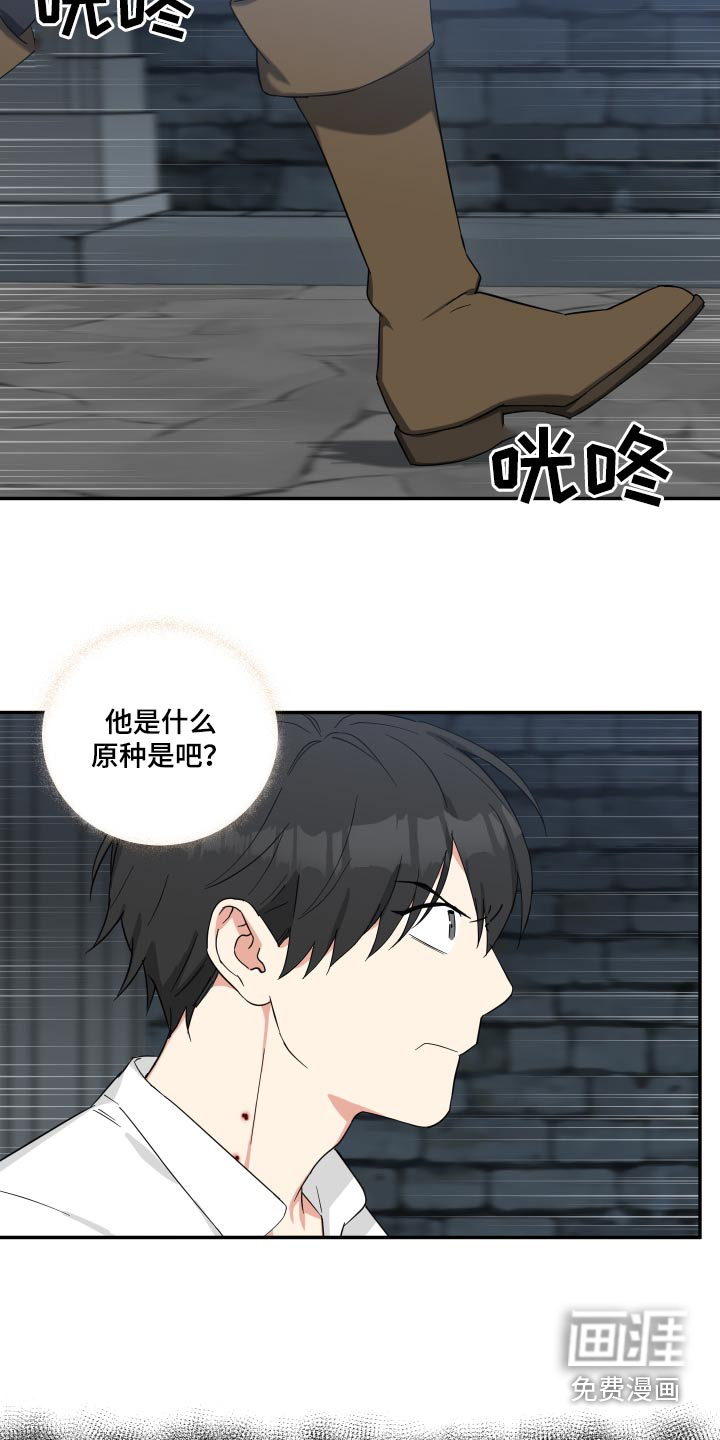 倒霉的吸血鬼漫画-图7