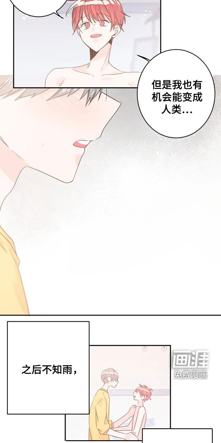 等待夜晚第36话图