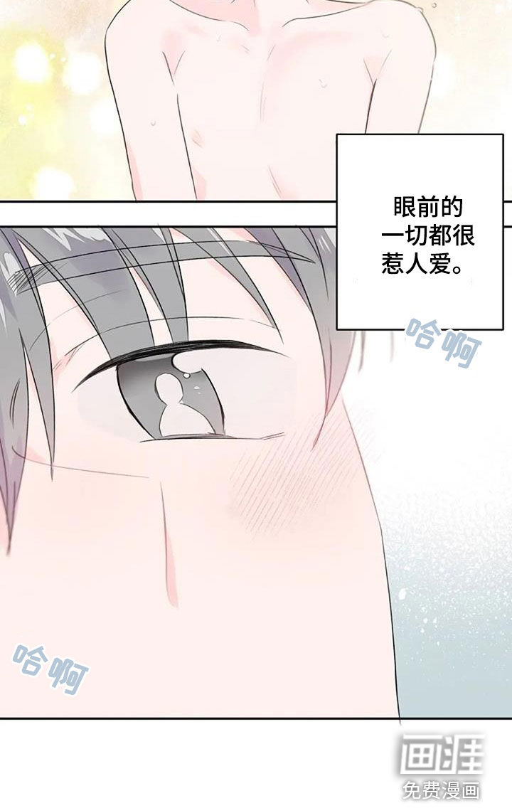 等待夜晚第36话图