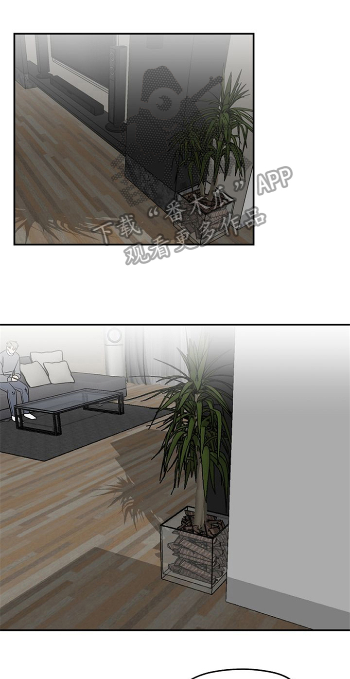 赌约恋人第19话图