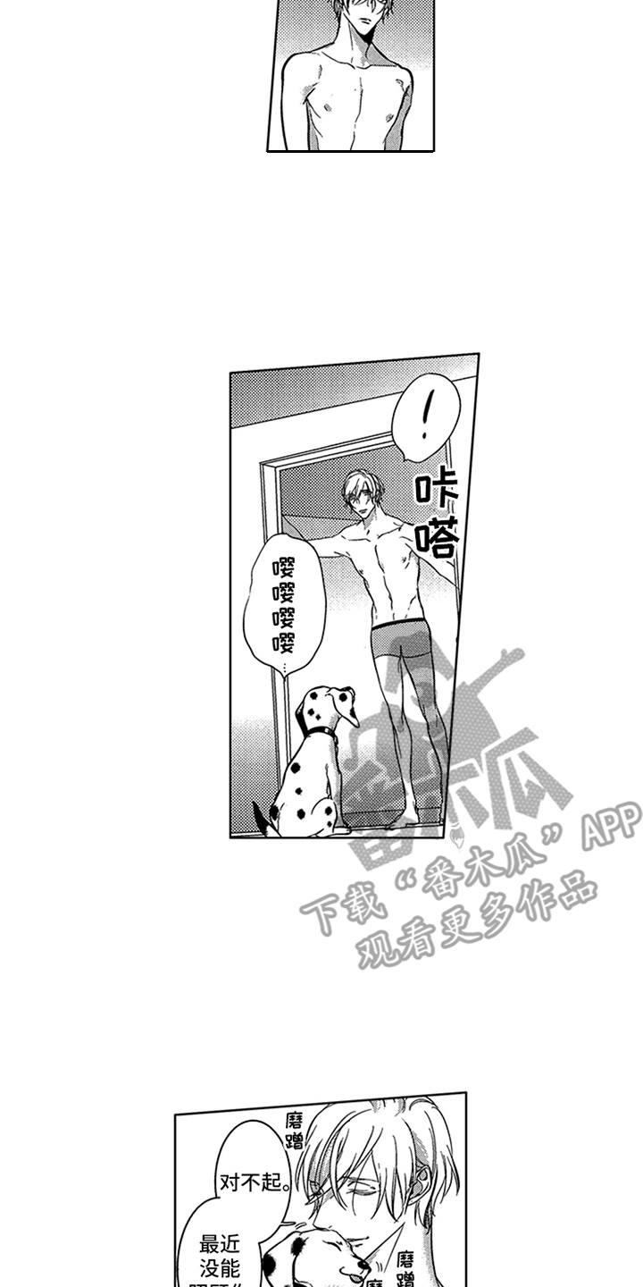 顶级模特第15话图