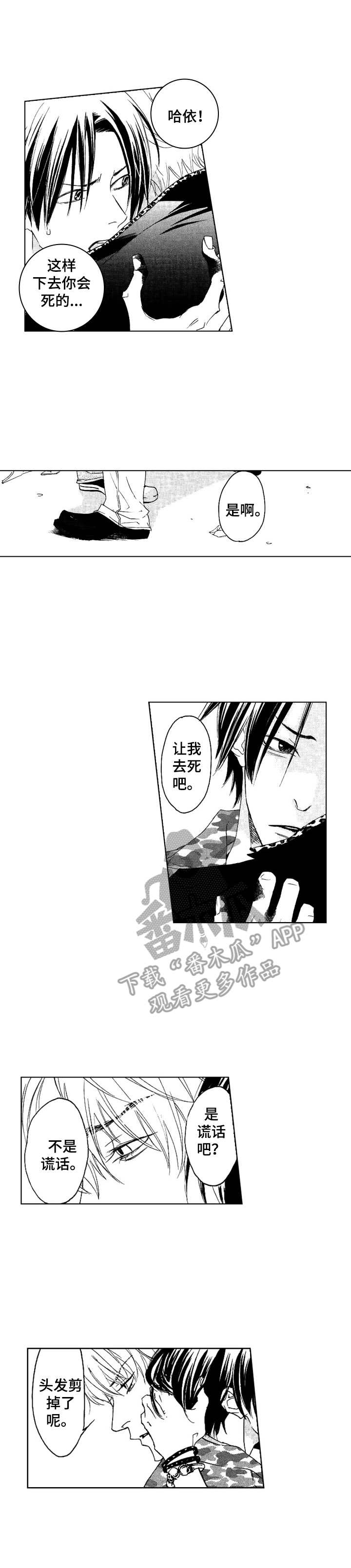 代号哈依第22话图