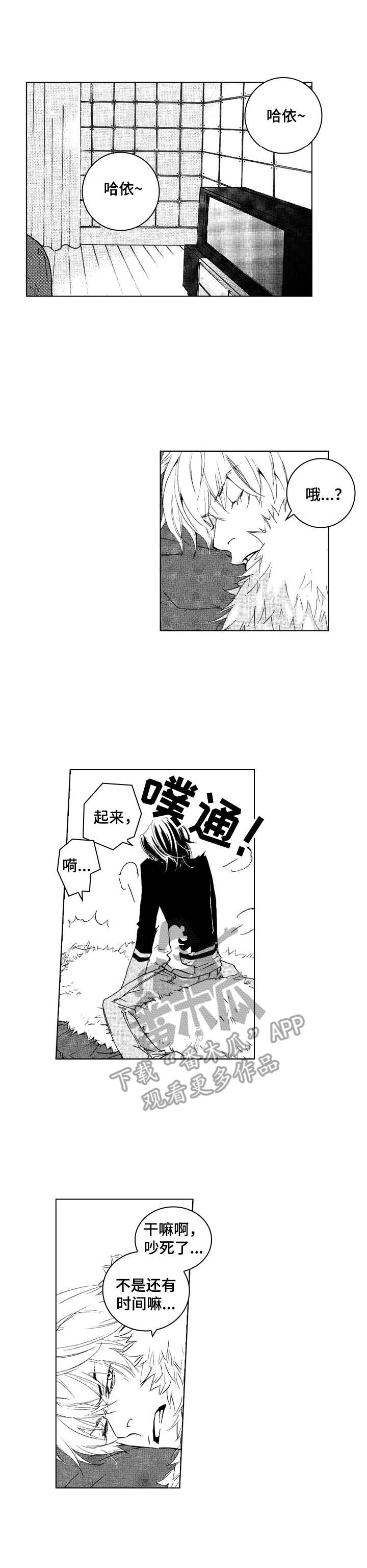 代号哈依第25话图