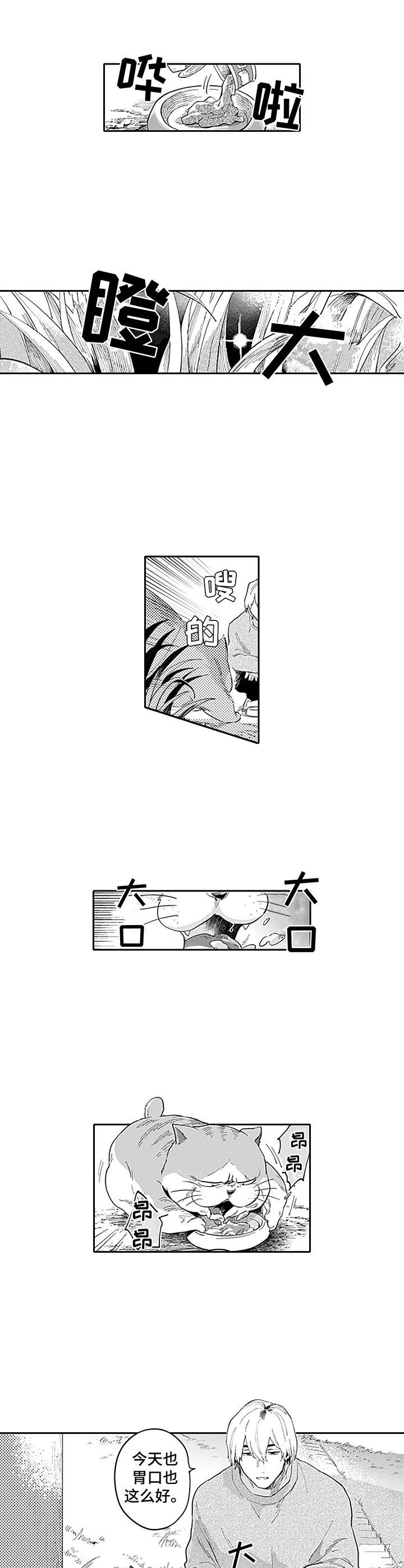 敌营恋人第1话图