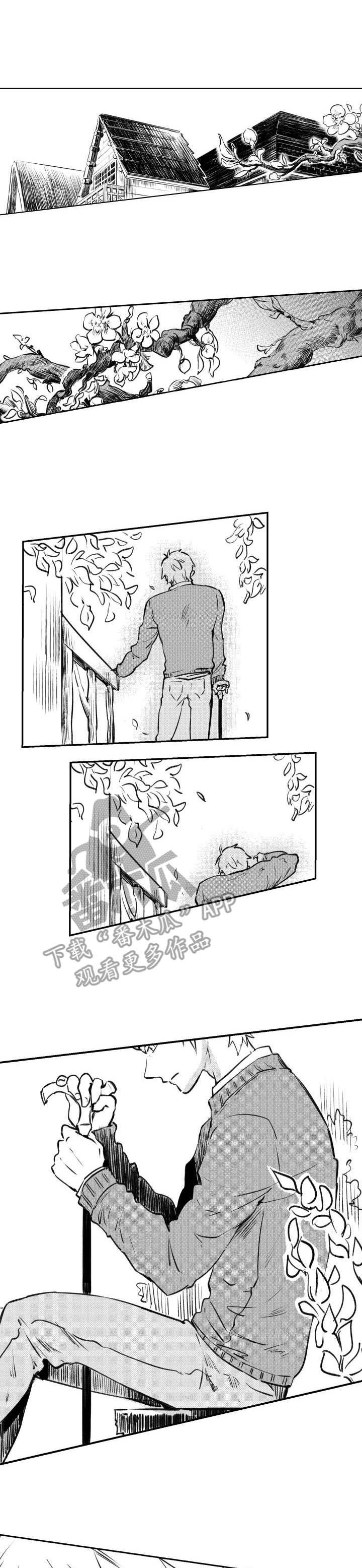 冬季往事第49话图