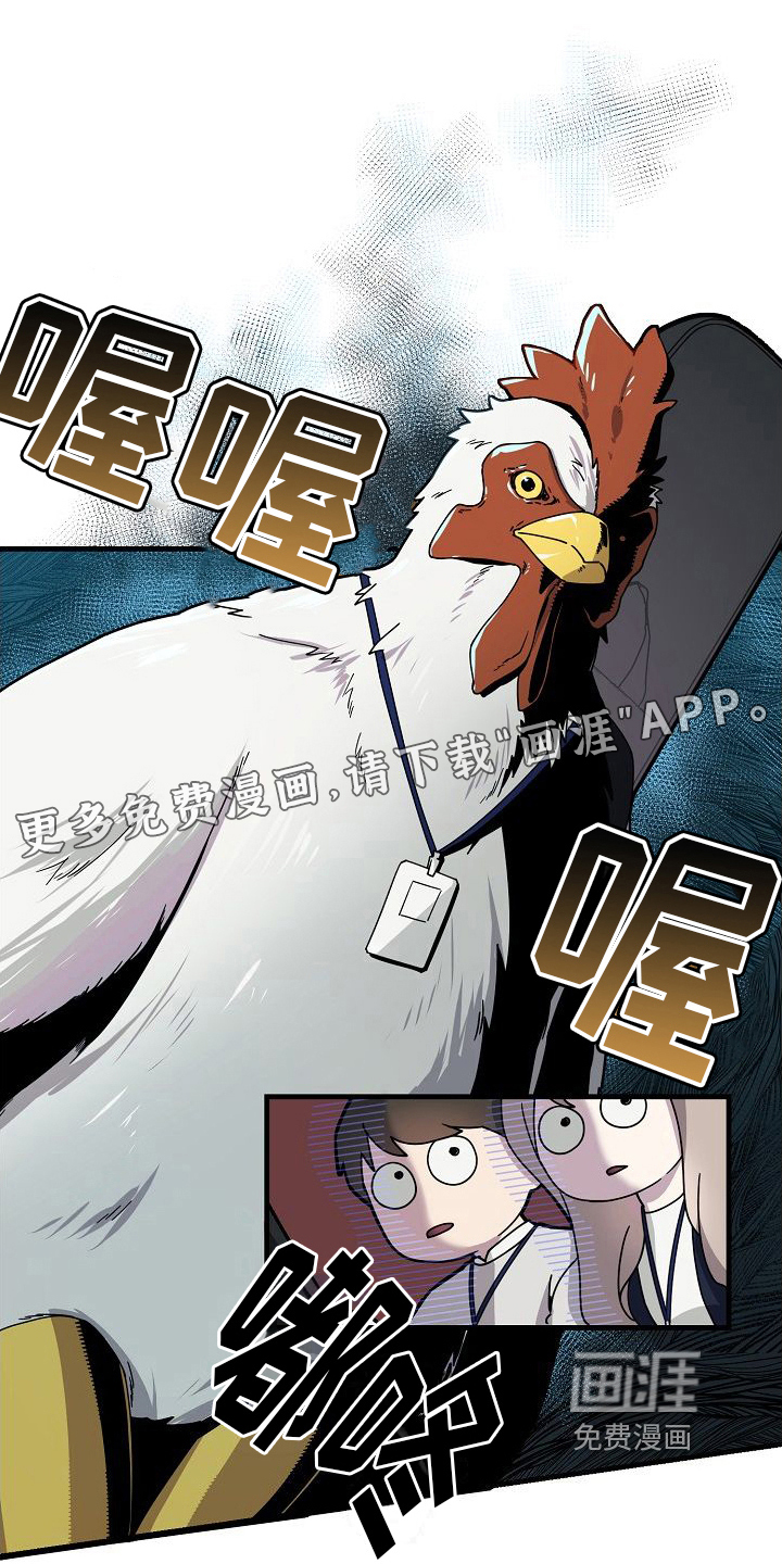 弹奏你我的爱第11话图