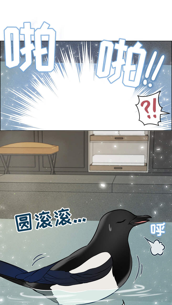 单身税第38话图