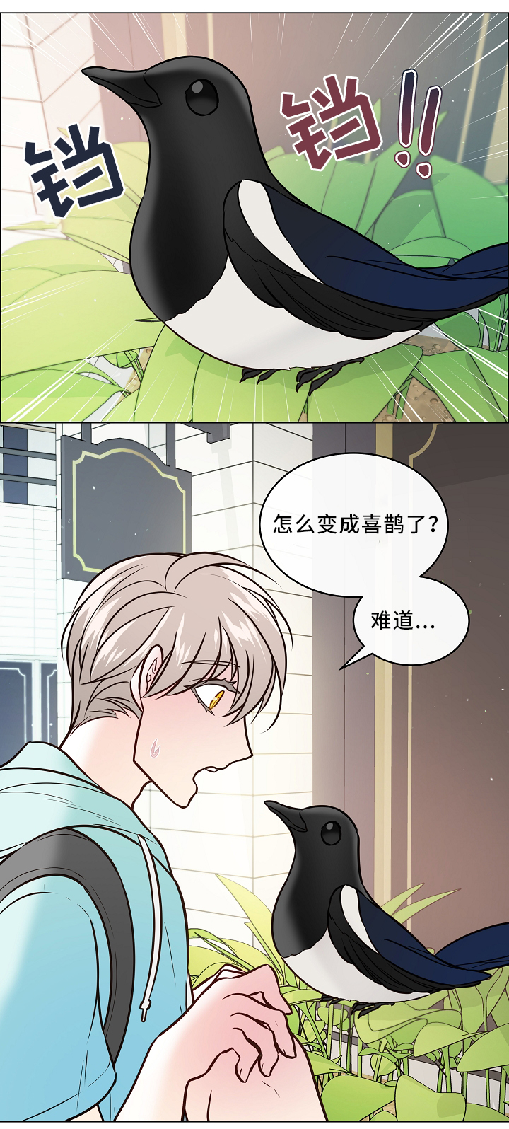 单身税第41话图