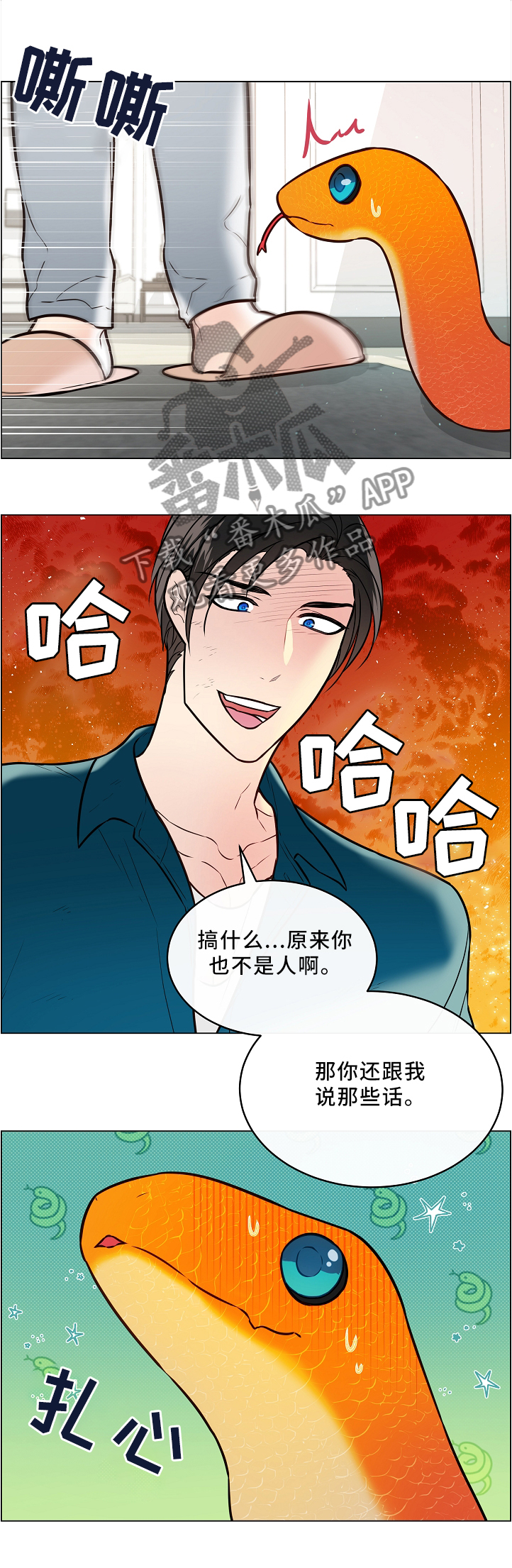 单身税第44话图