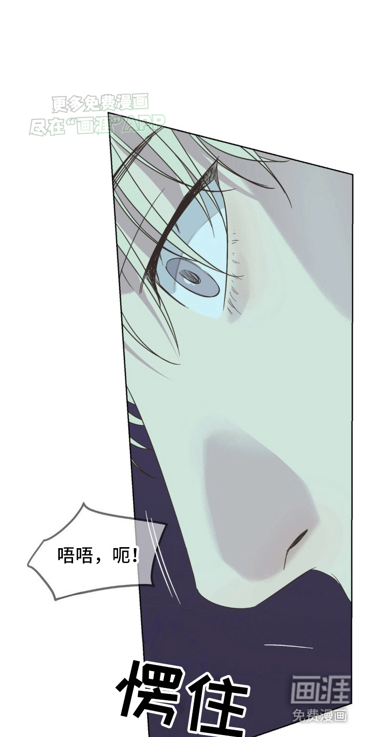 颠倒的光影第10话图