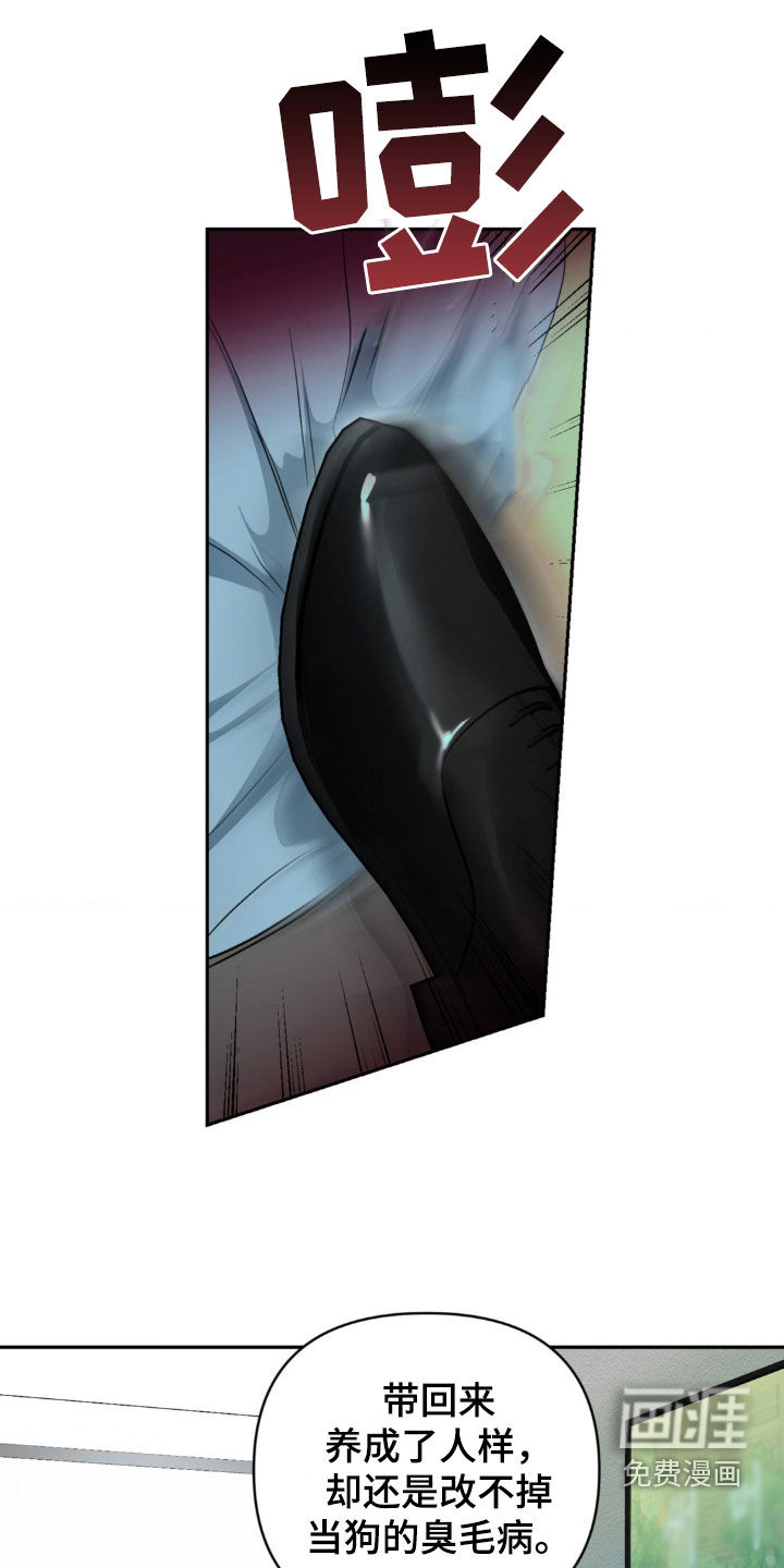 颠倒的光影第23话图