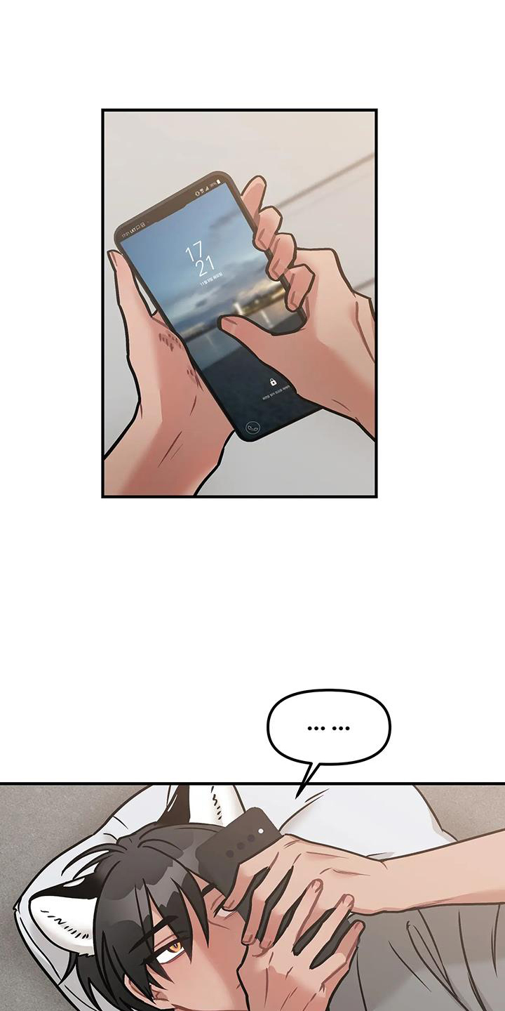 胆怯的老虎第17话图